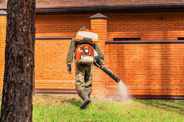 Bed Bug Clearance Verification and Documentation in Mount Carroll